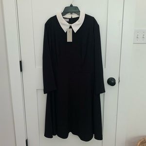 Hobbs London Dress. Black with white collar. New with tags. Size 12.